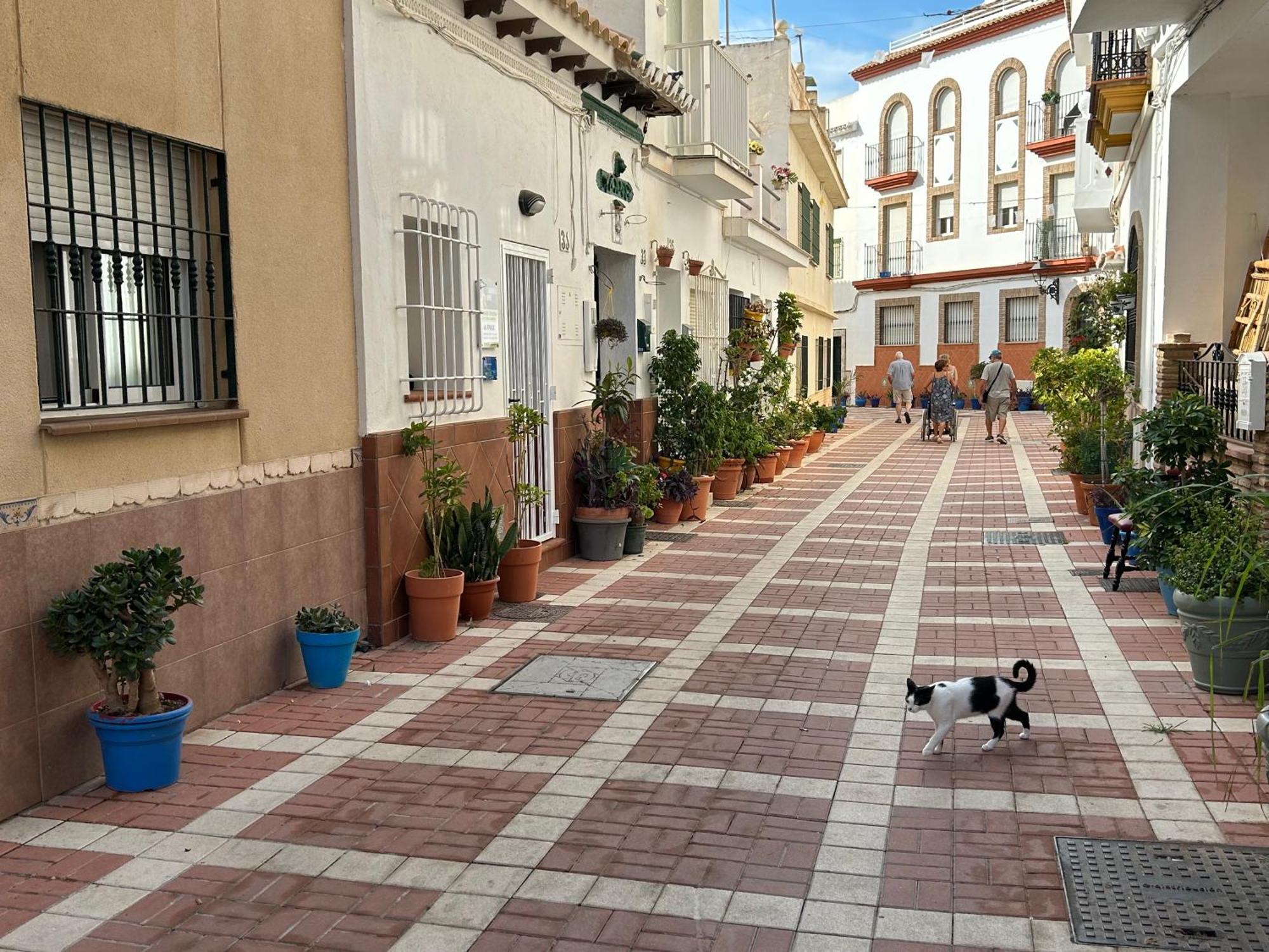 Apartment Carihuela Torremolinos