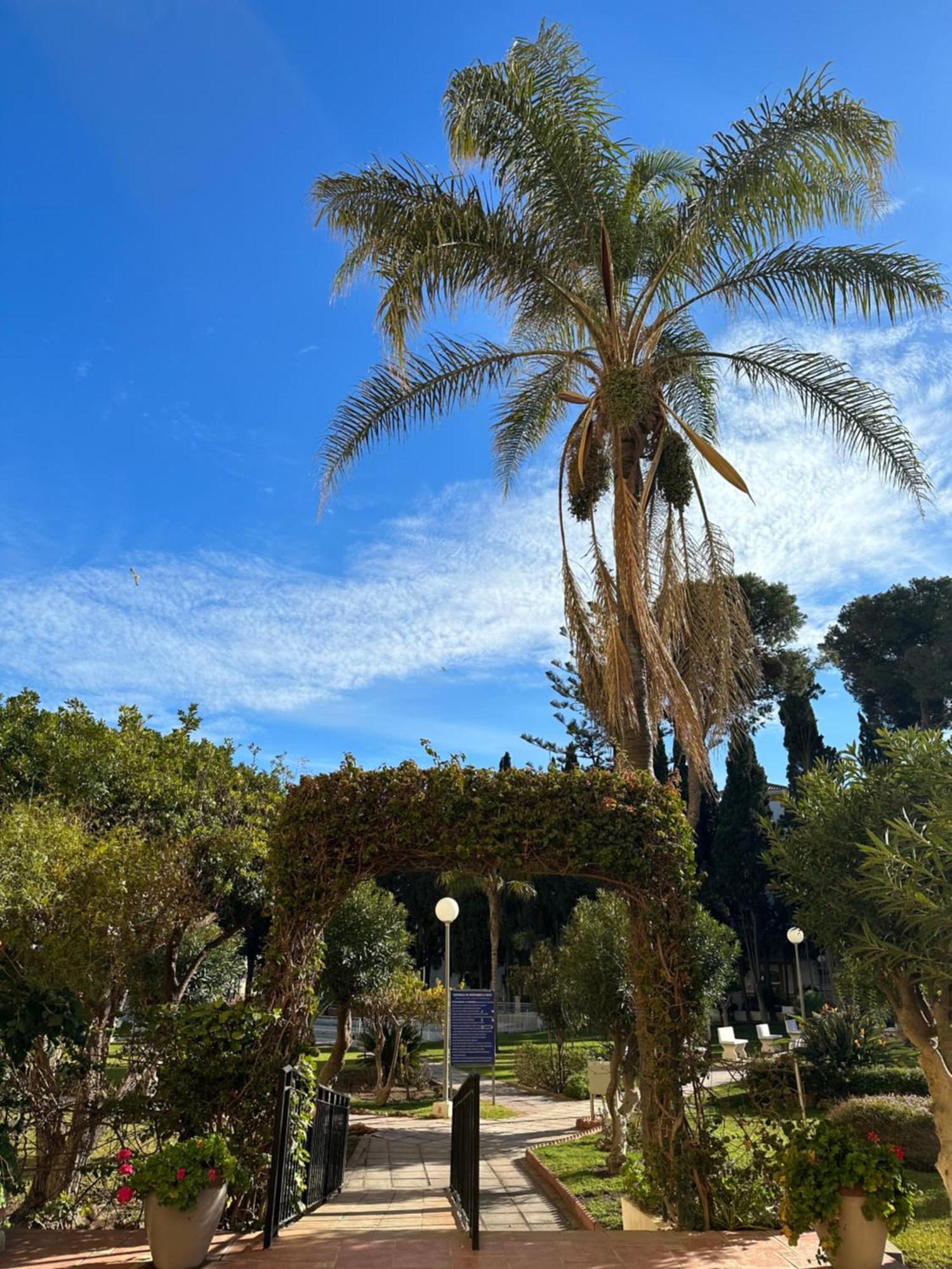 El Rocio 2 2 Banos Y Garaje Torremolinos