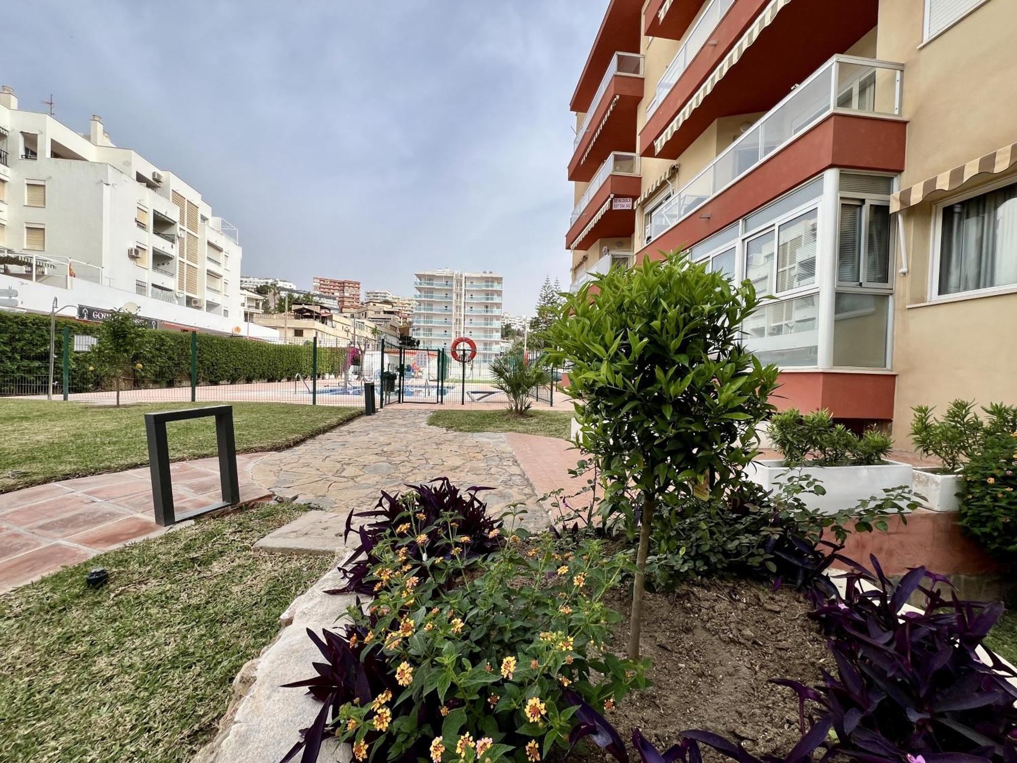 Palomas Torremolinos