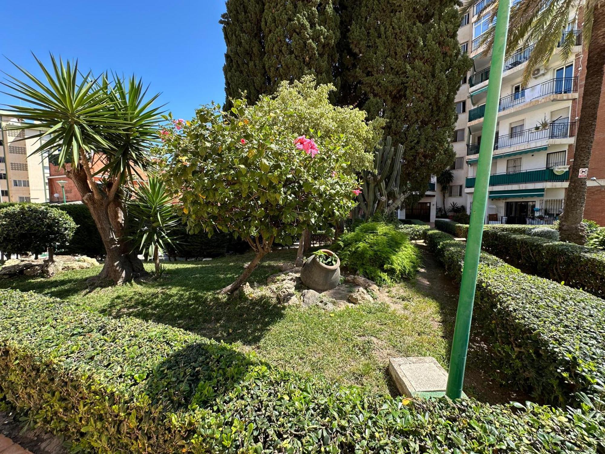Apartamento Studio Pollux