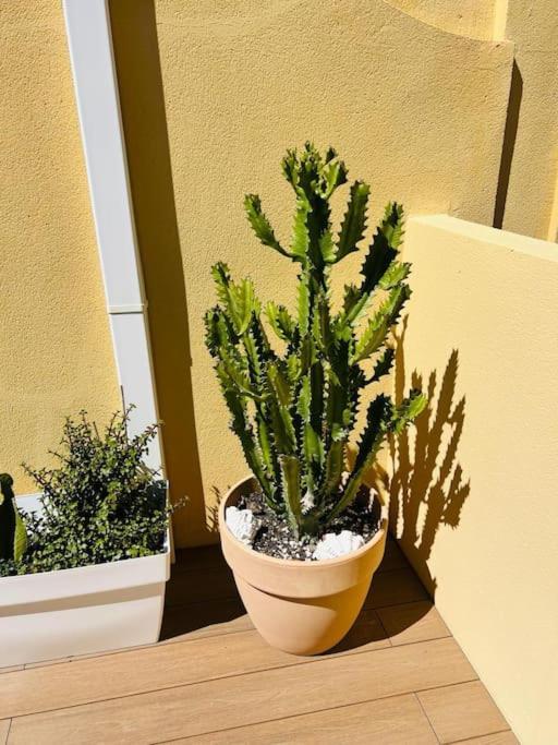 Apartamento Penthouse, Solarium Sunshine & Pool