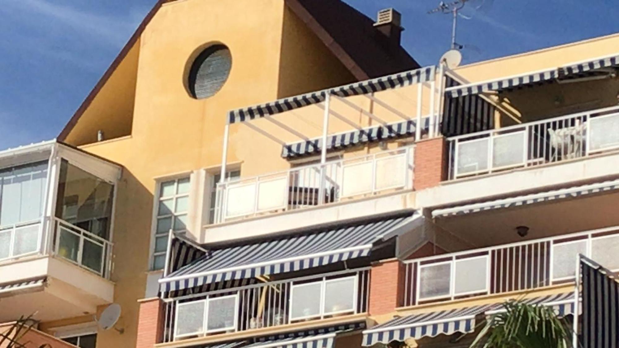 The Oasis Appartement