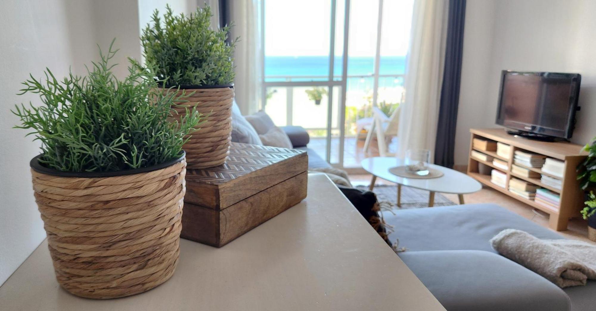 The Oasis Appartement *