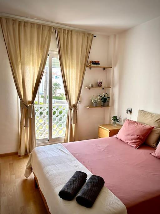 Family Apartment, Apartamento