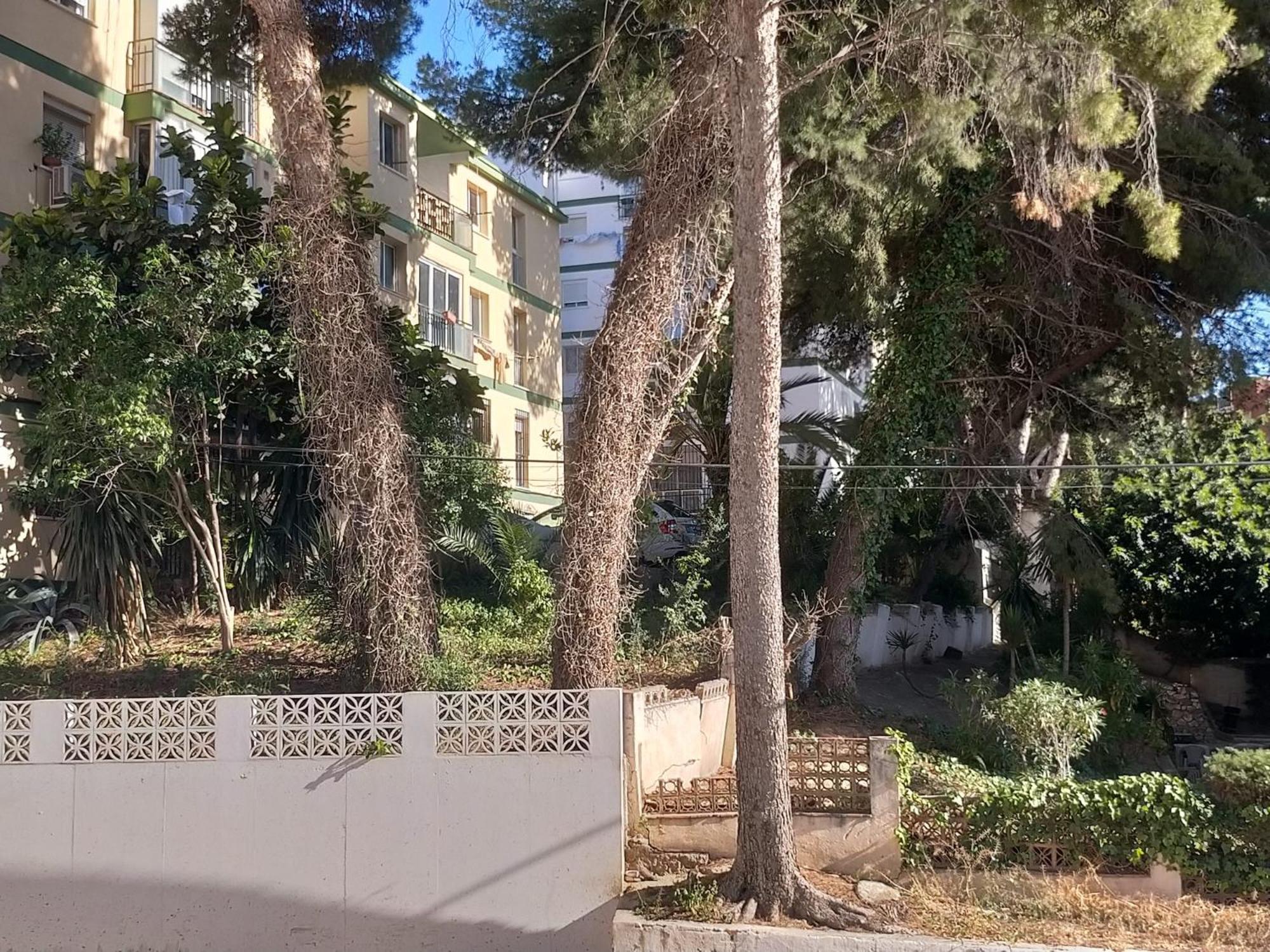 Terraza Del Bajondillo * Torremolinos