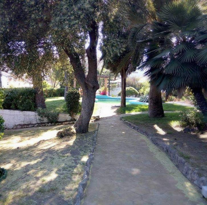 El Paraiso De Laura *