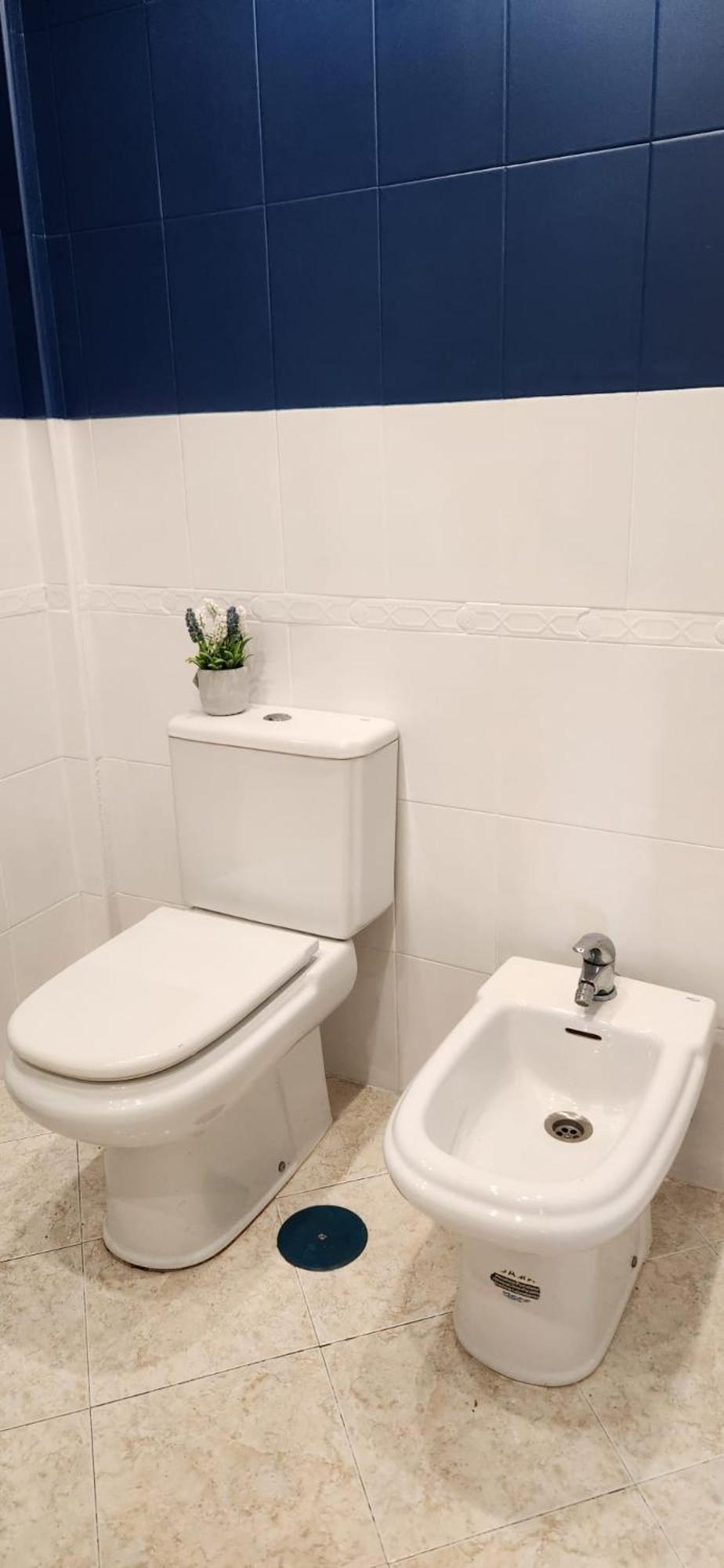 Appartement The Oasis