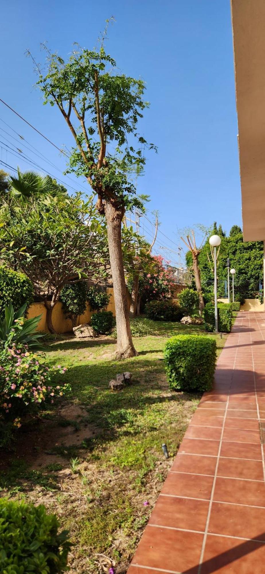 The Oasis Appartement