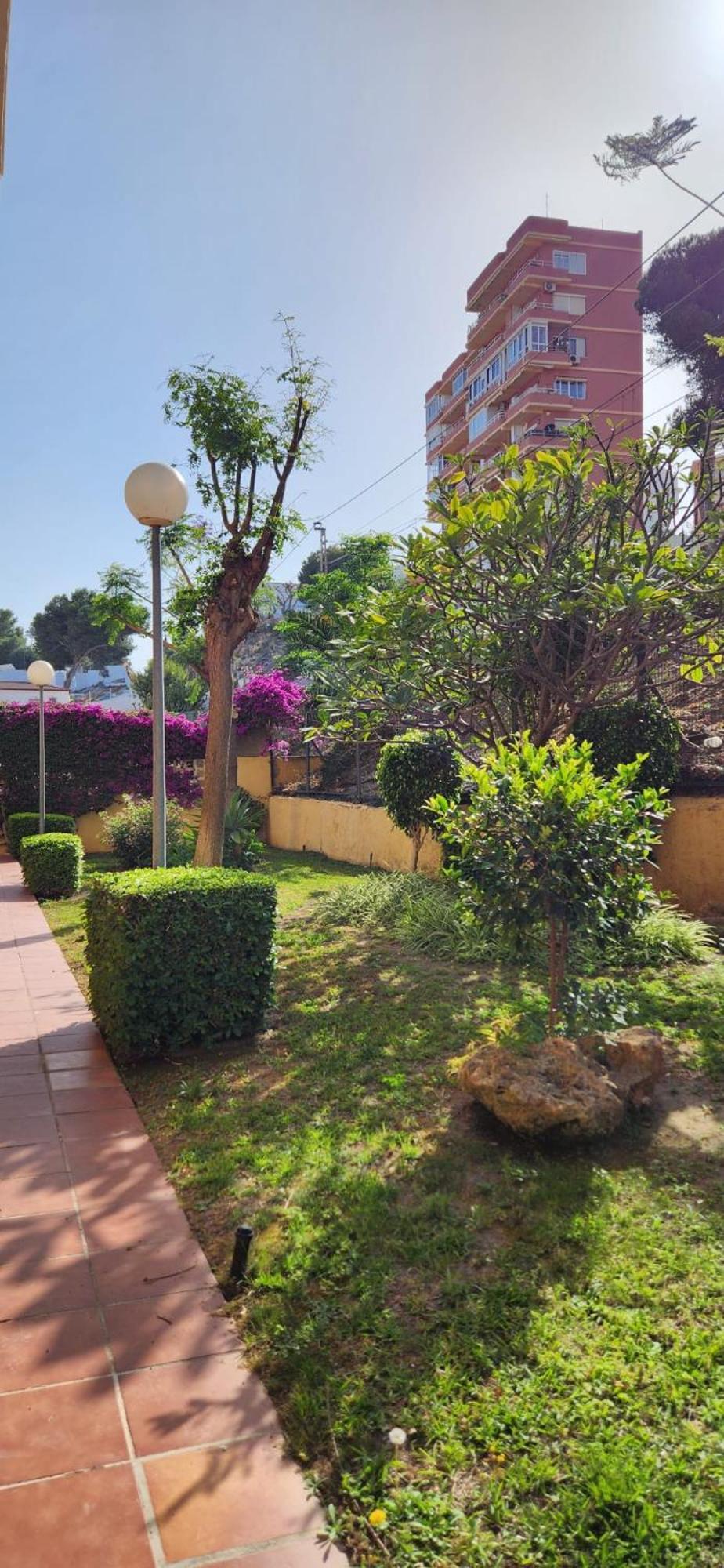 Appartement The Oasis *