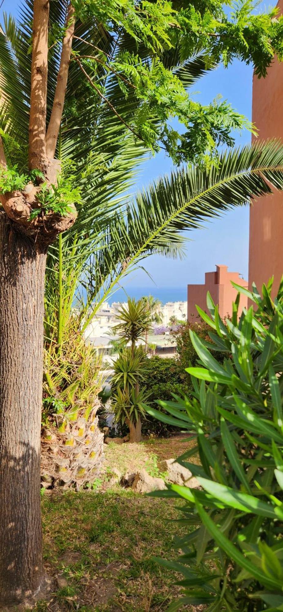 The Oasis Appartement