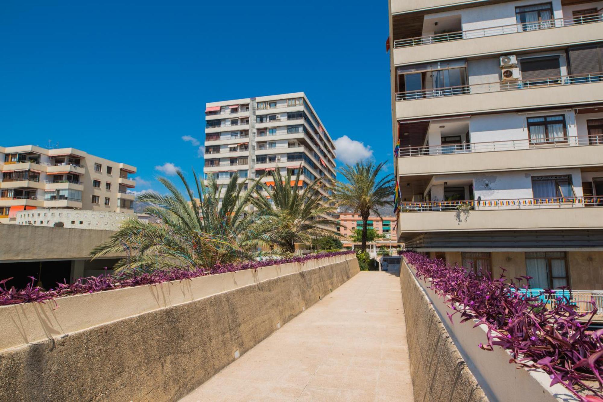 Nogalera Party&beach Select Apartment