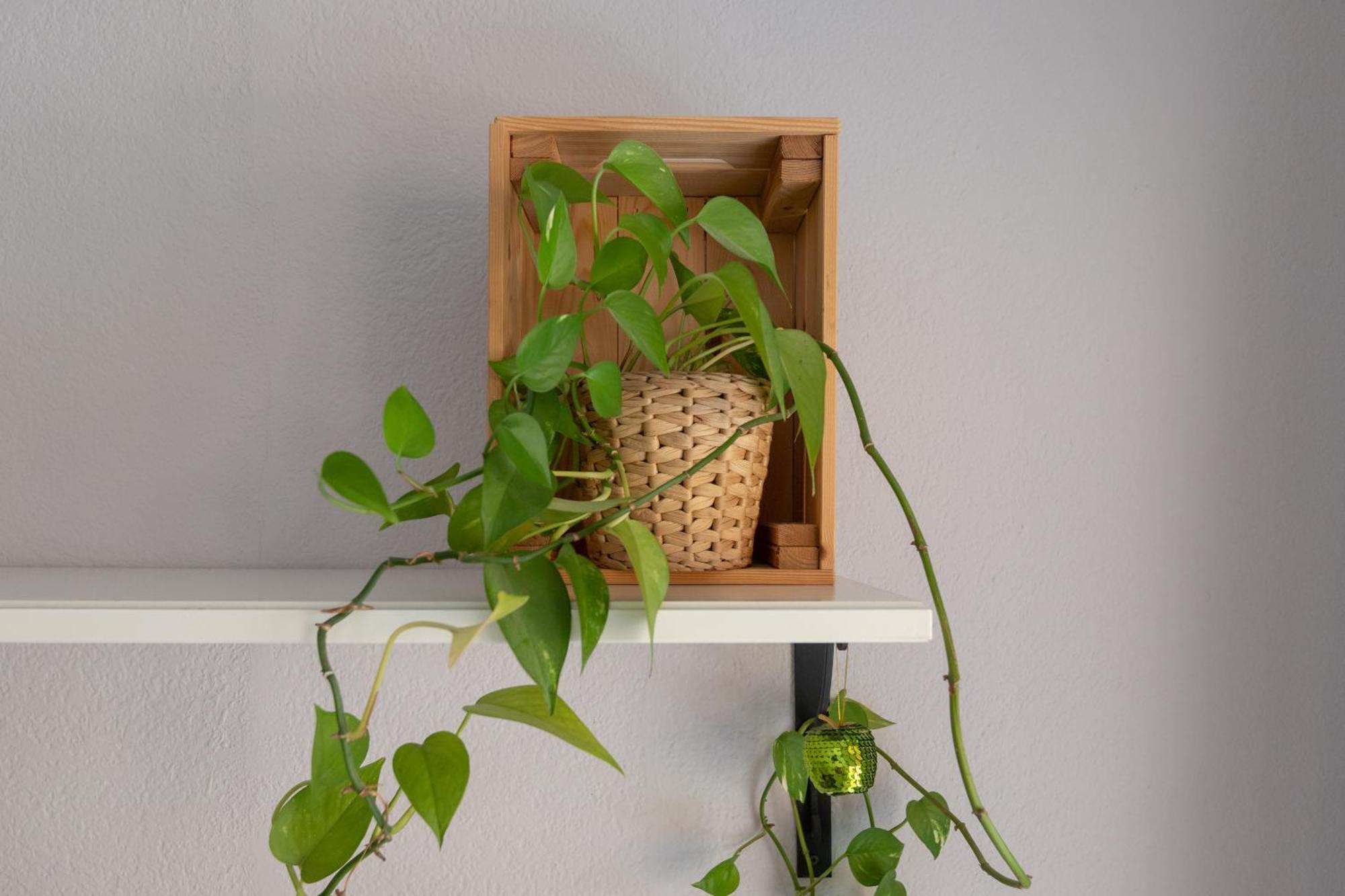 Sun & Beach Apartment *