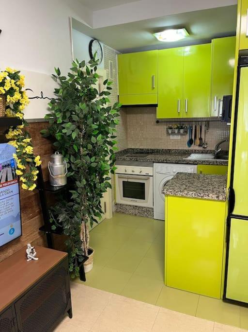 Apartment Encantador Apartamento Centro *