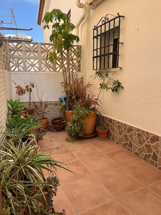 Apartamento Campo Mares
