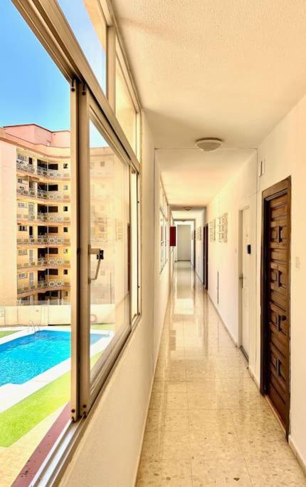 Palm Breeze Apartment