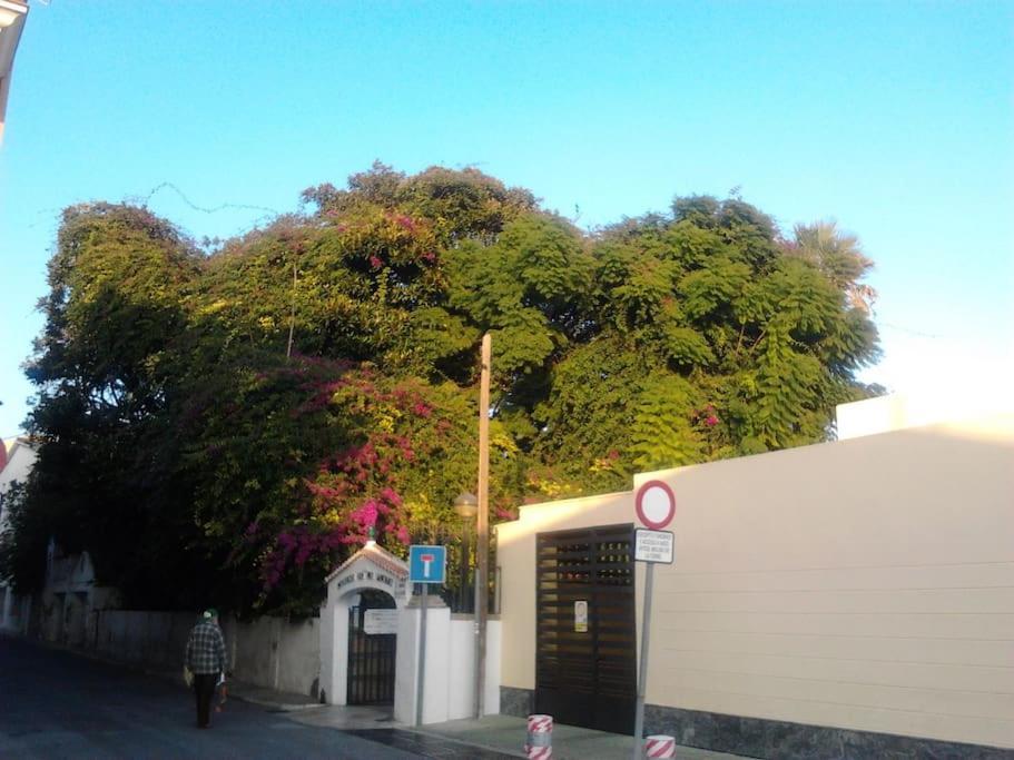 Estudio De 70 Mts 2 Personas En La Nogalera With Terrace Sea Views Apartment