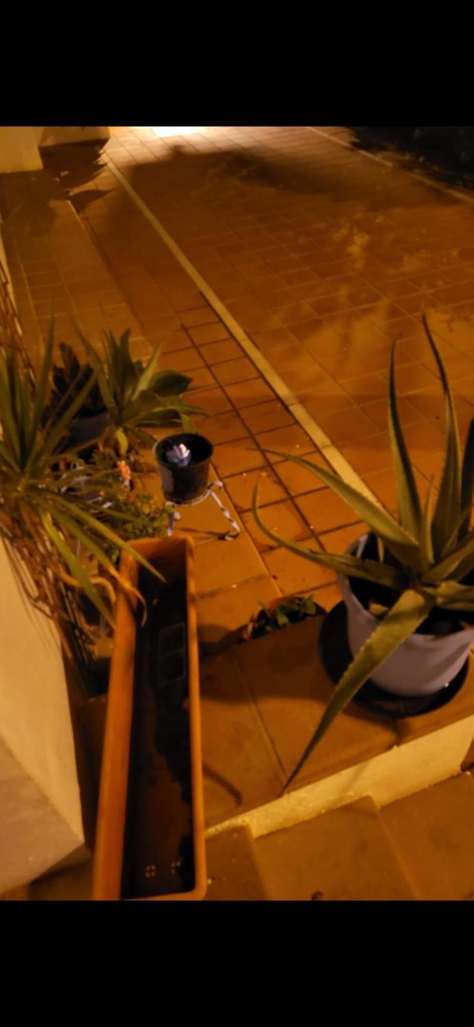 Apartment Bajo Coqueto