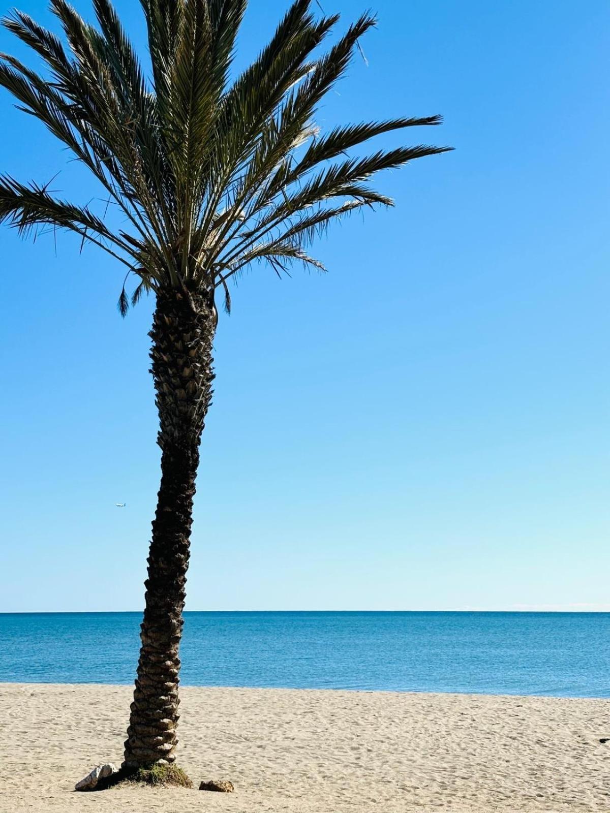 Con Piscina Privada En Primera Linea De Playa