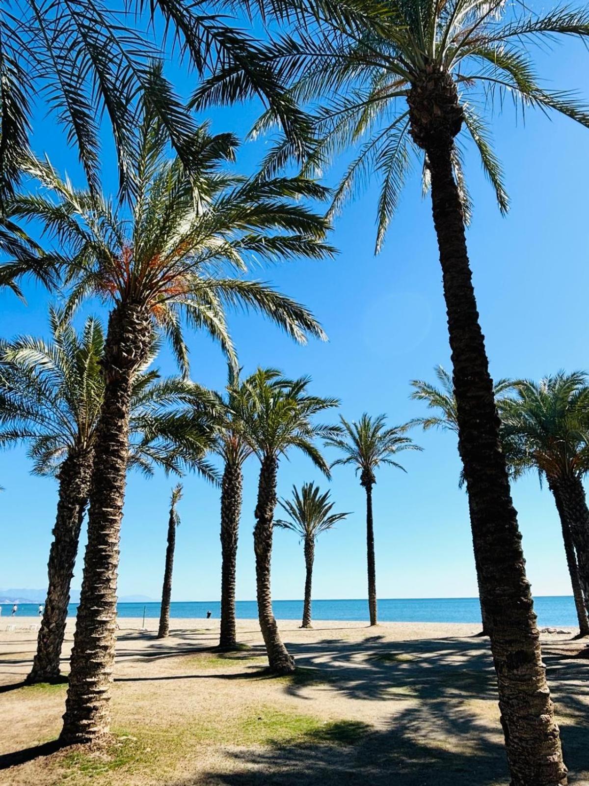 Villa Con Piscina Privada En Primera Linea De Playa