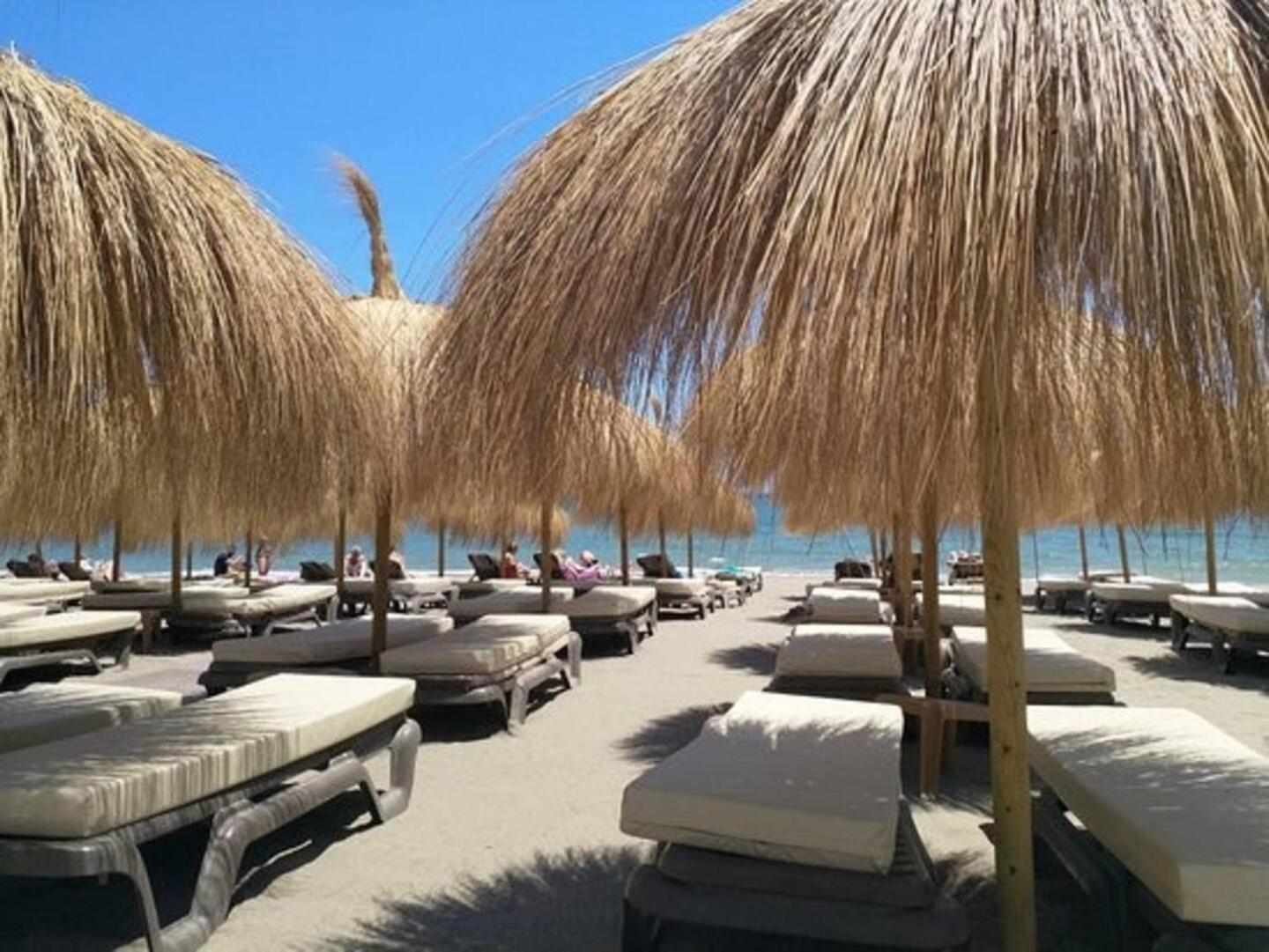 Boho Chic- Beachfront - Free Bikes - Salt Water Pool Apartment *