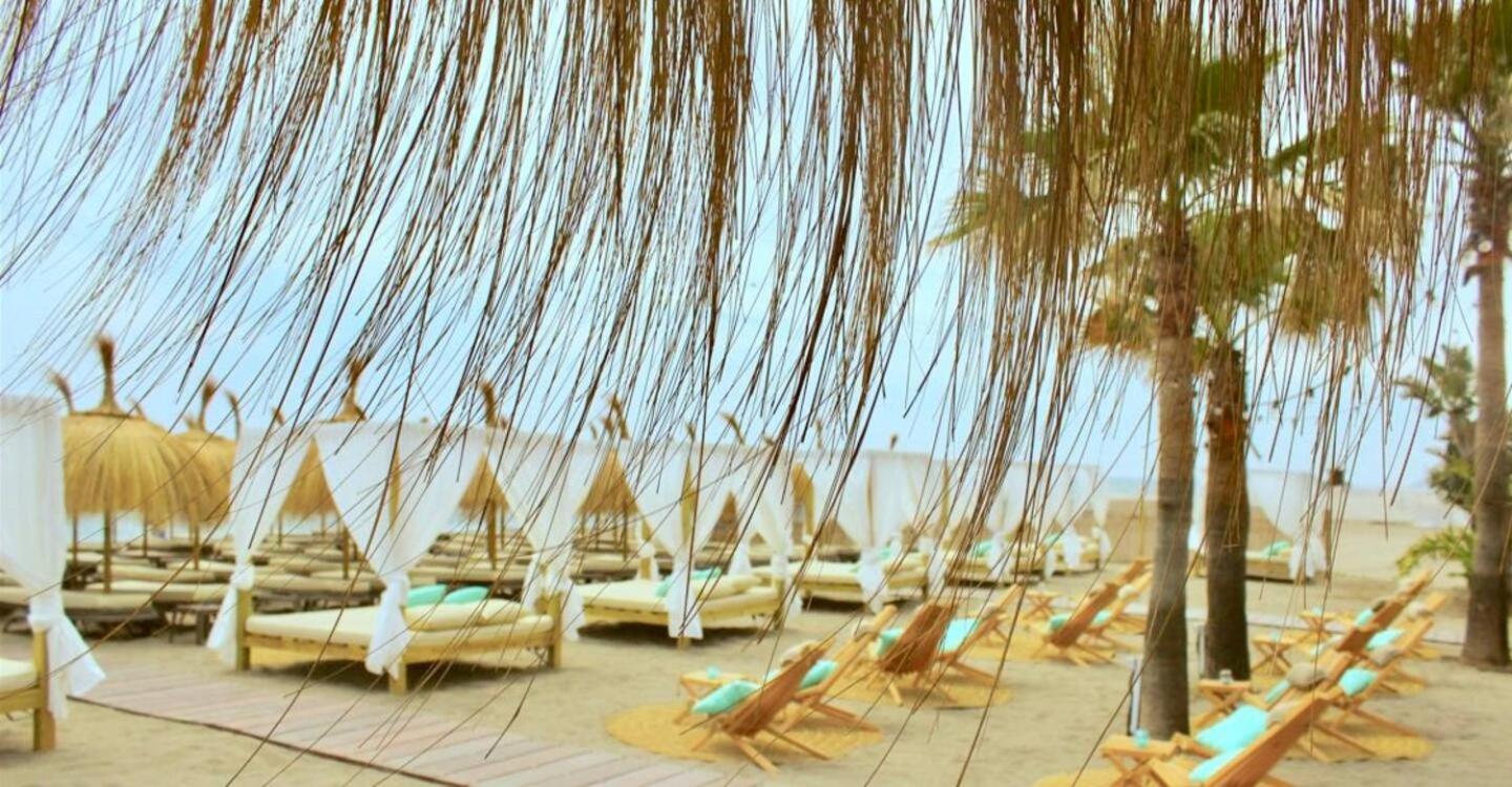 Boho Chic- Beachfront - Free Bikes - Salt Water Pool Apartment *