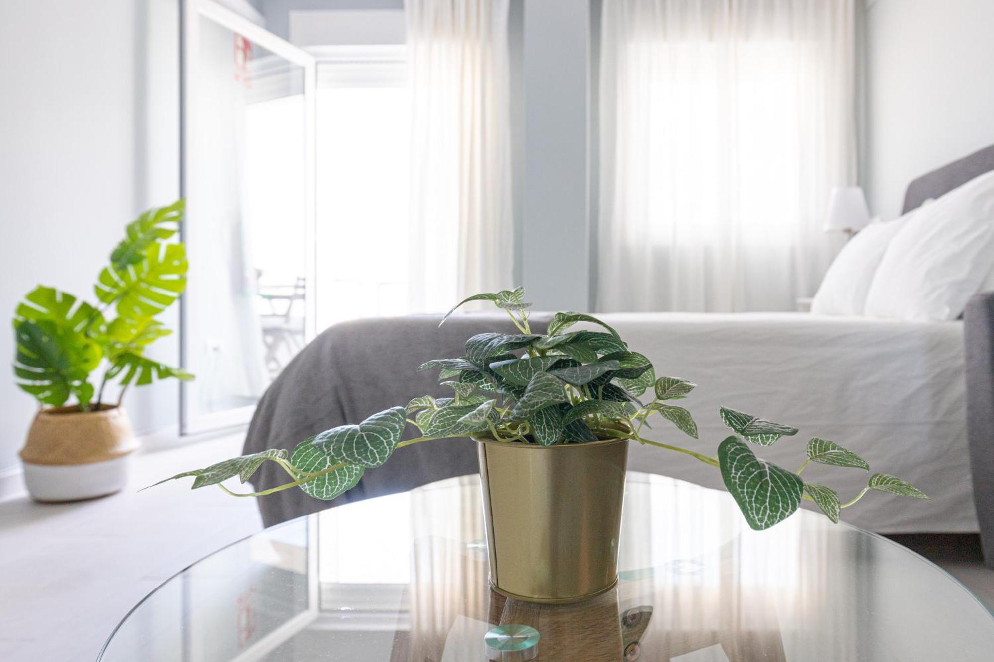 Appartement Dream Sea Views *