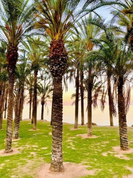 Ventana Al Mar Pool And Access With Elevator Apartment