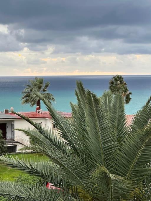 Apartment Ventana Al Mar Pool And Access With Elevator