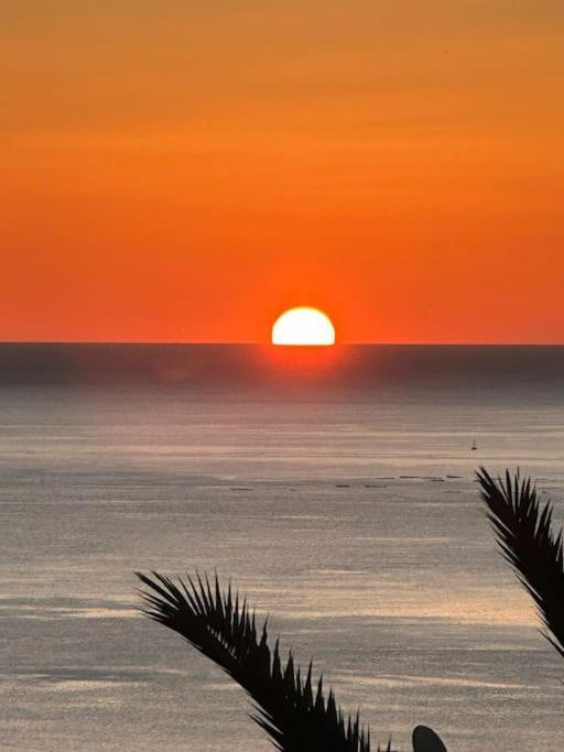 Ventana Al Mar Pool And Access With Elevator *