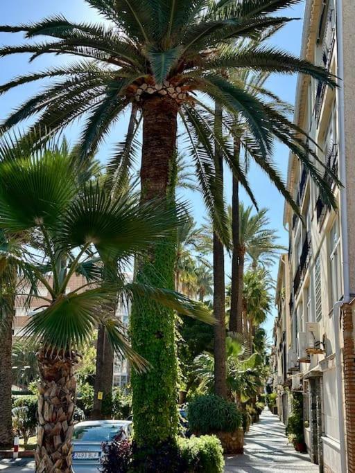 Ventana Al Mar Pool And Access With Elevator * Torremolinos
