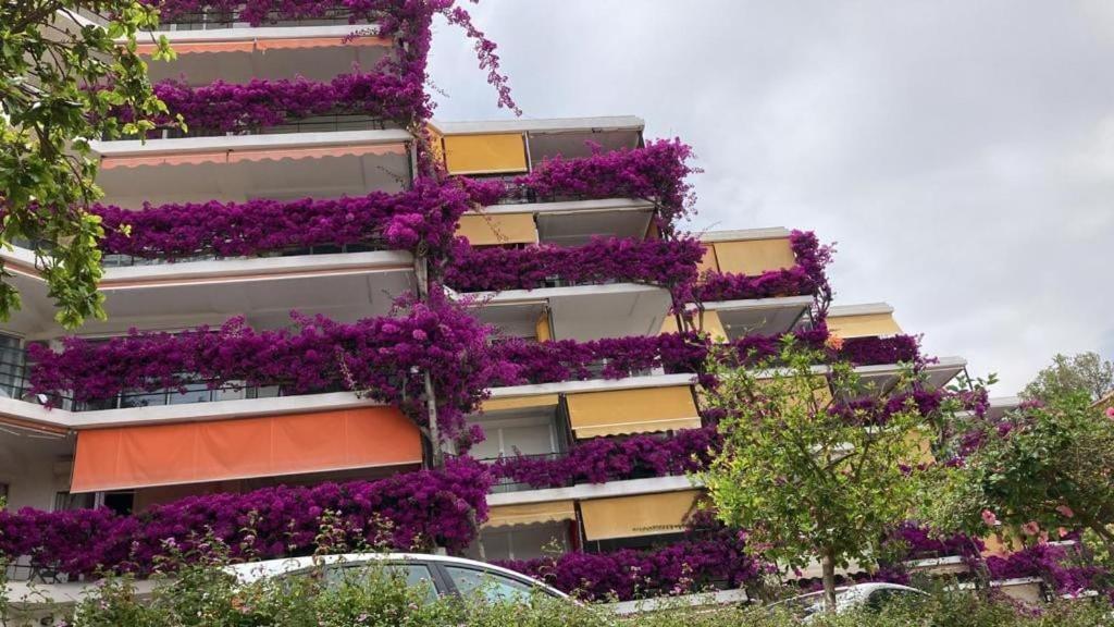 Marvelous Sea & Garden View, Near Carihuela * Torremolinos
