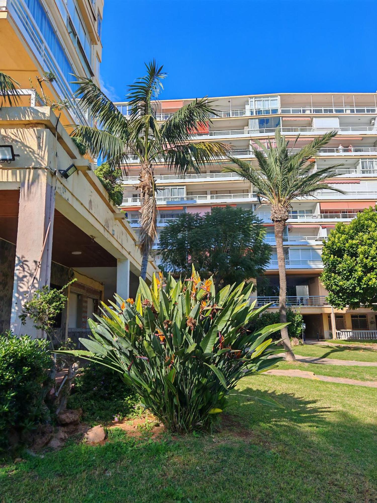 Casa Adela At Parrot At Carihuela Torremolinos