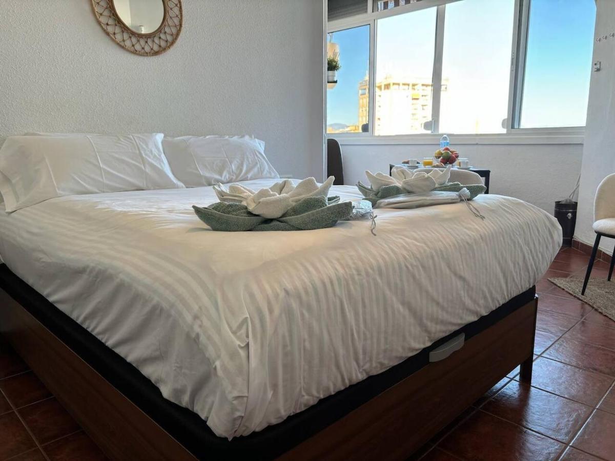 Zenith - Hypercenter - Seaview *