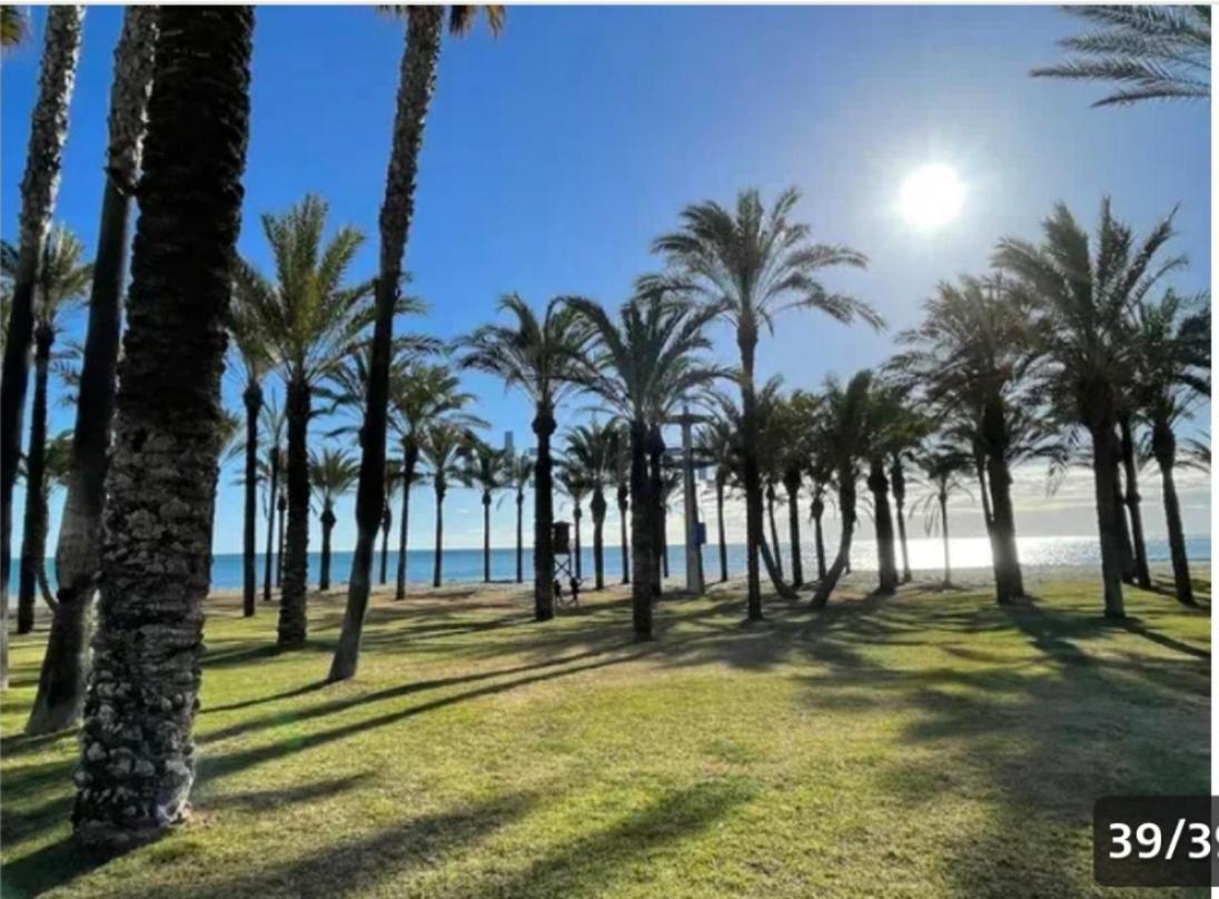 Luxury In Playa De Alamos Apartment