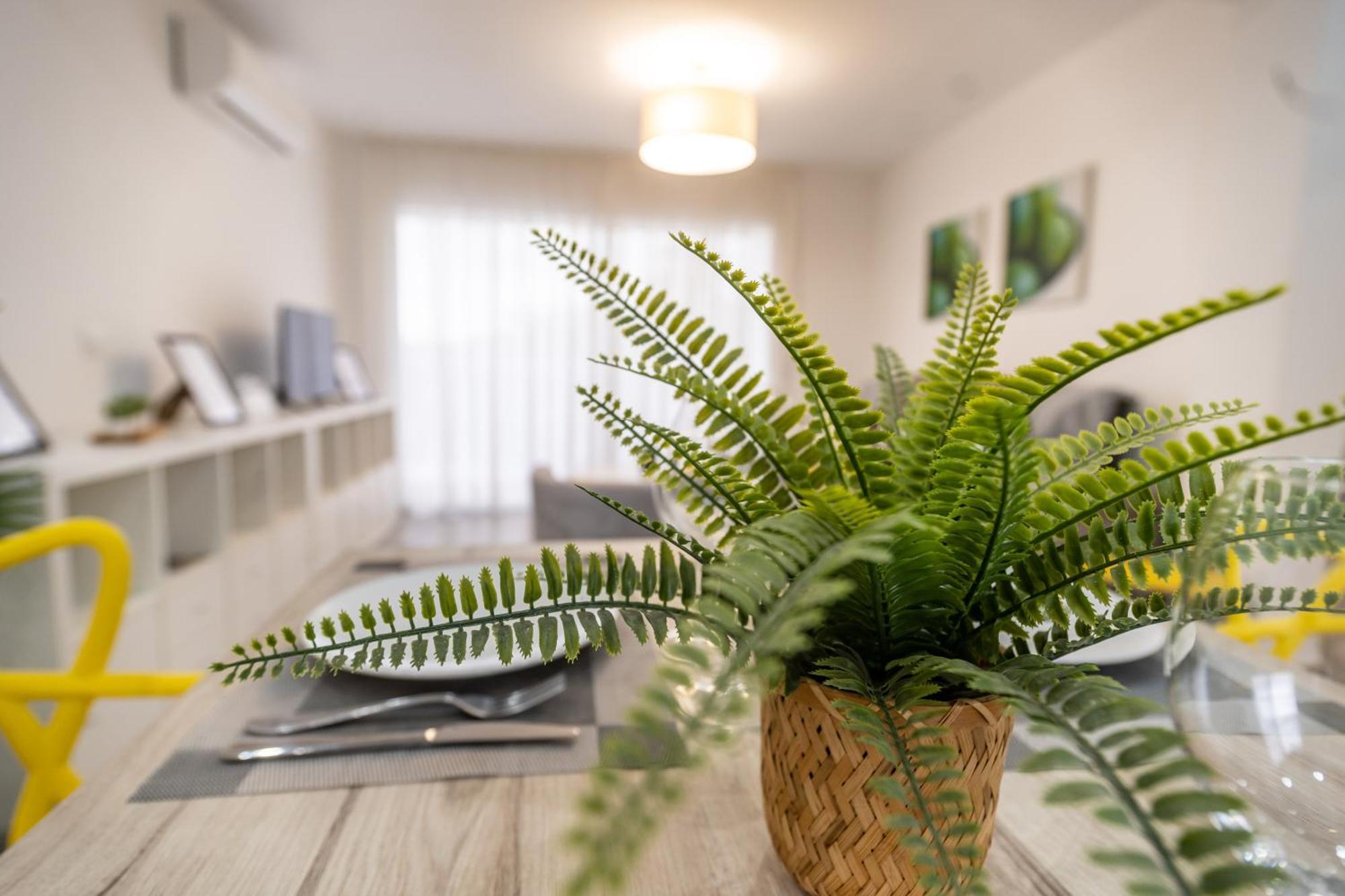 Apartment Cizana Dreams *