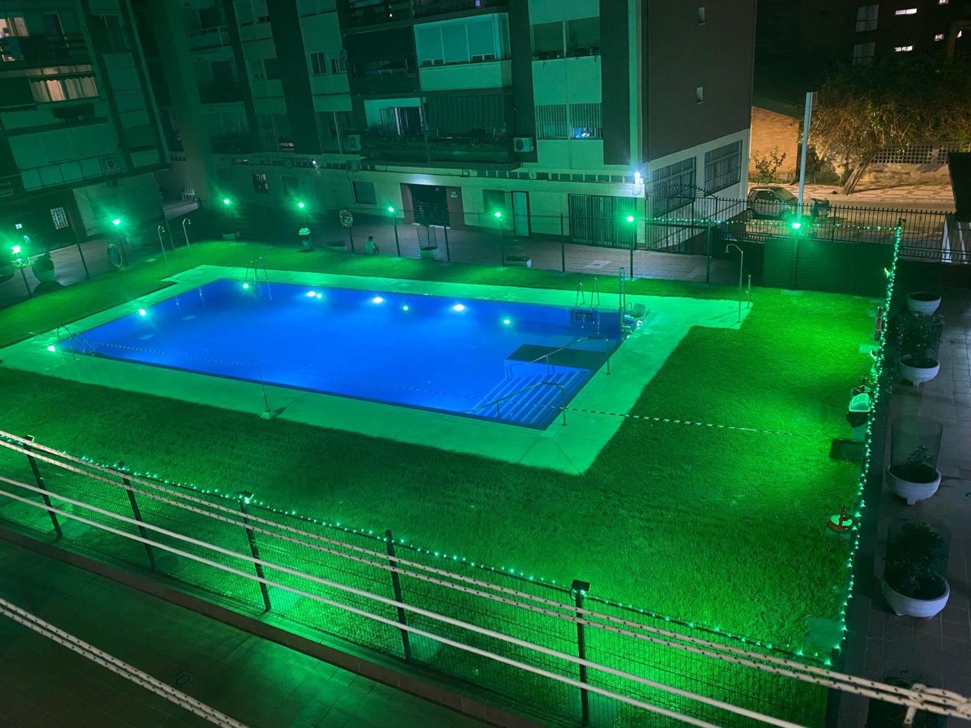 Luxury Apartment