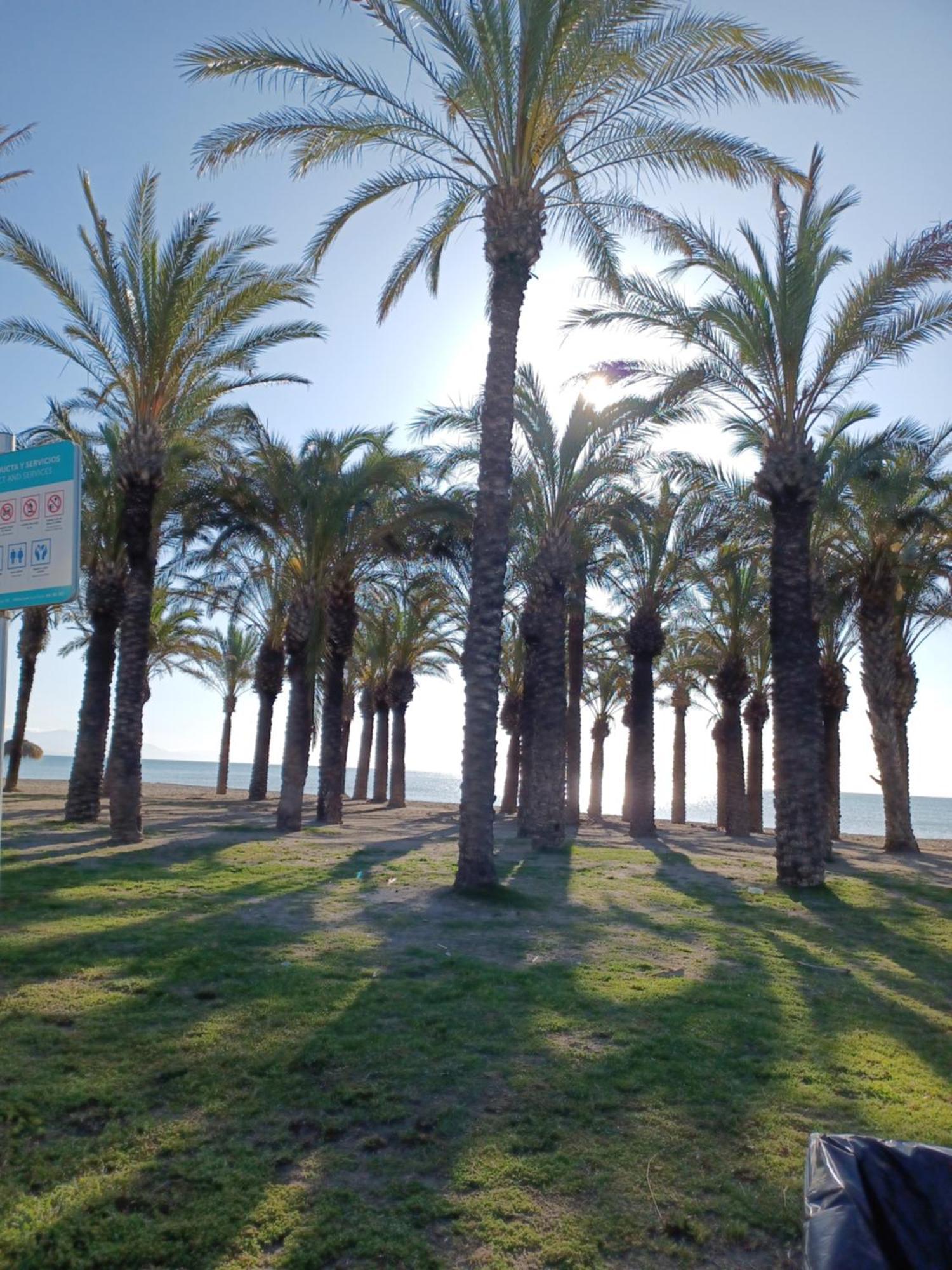 Salicia Alamos * Torremolinos