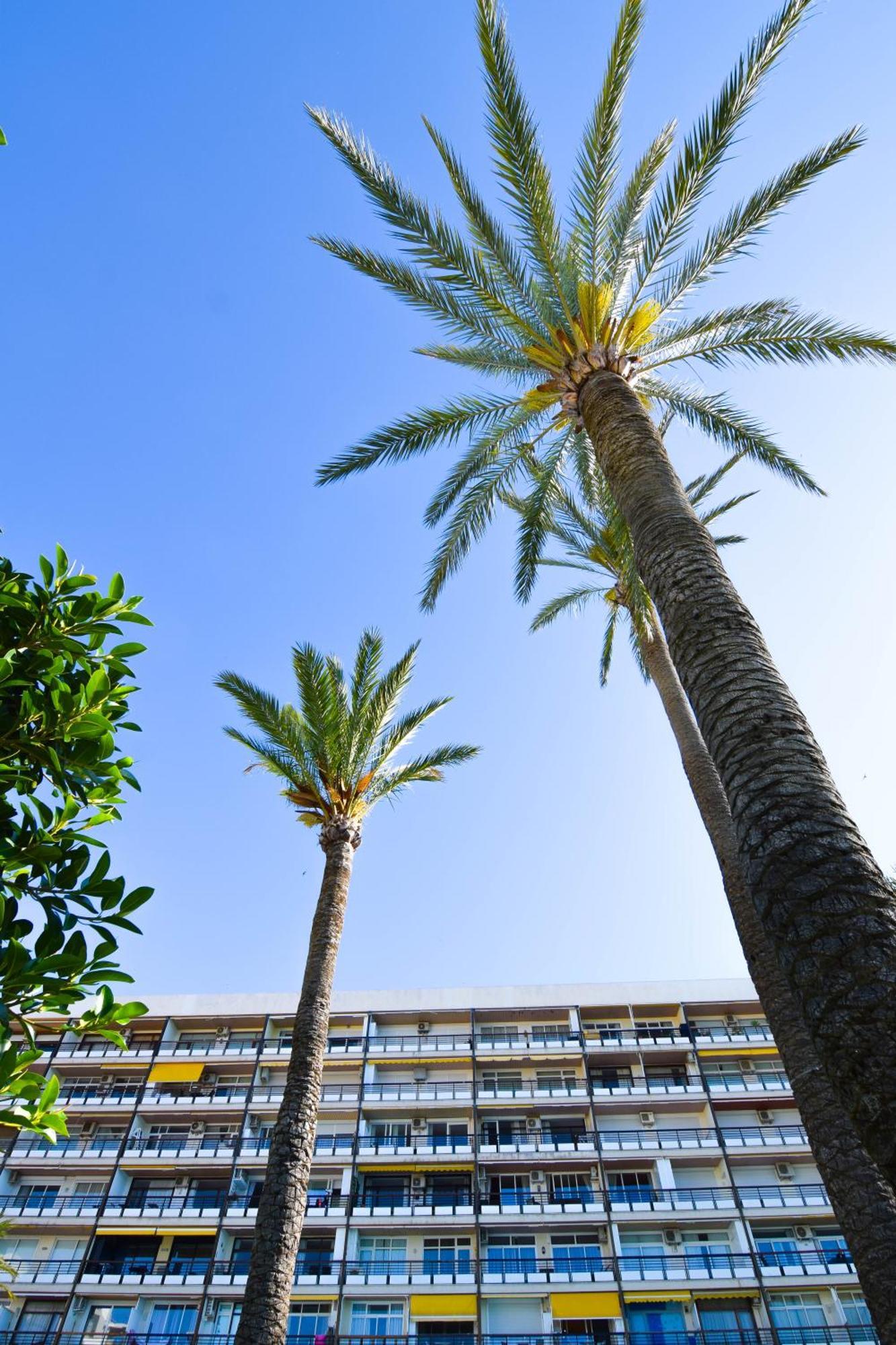 Letmalaga Santa Clara Appartement