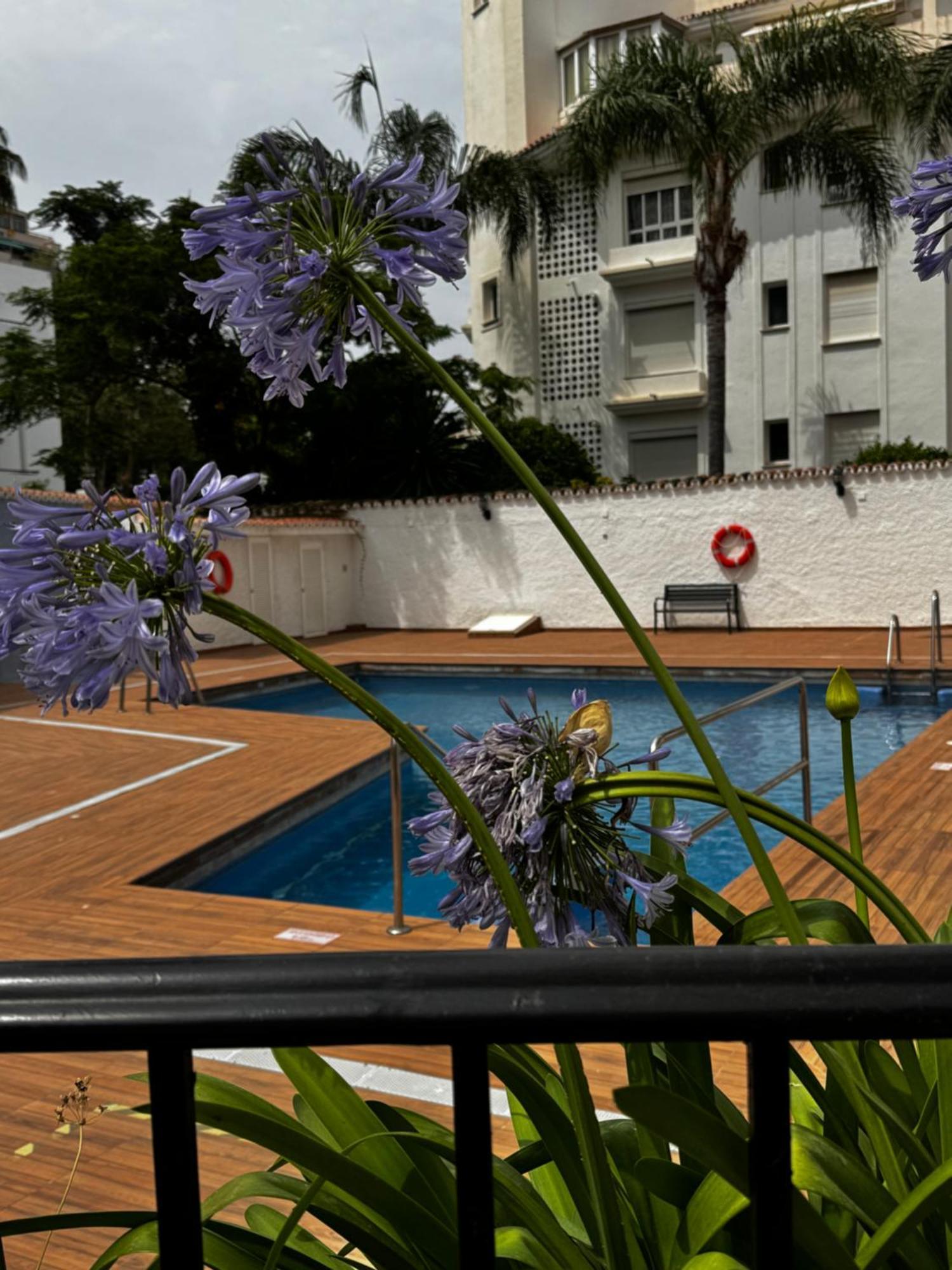 Apartamento Sunny Carihuela