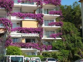 Cascada Two Bedroom Hotel 3*