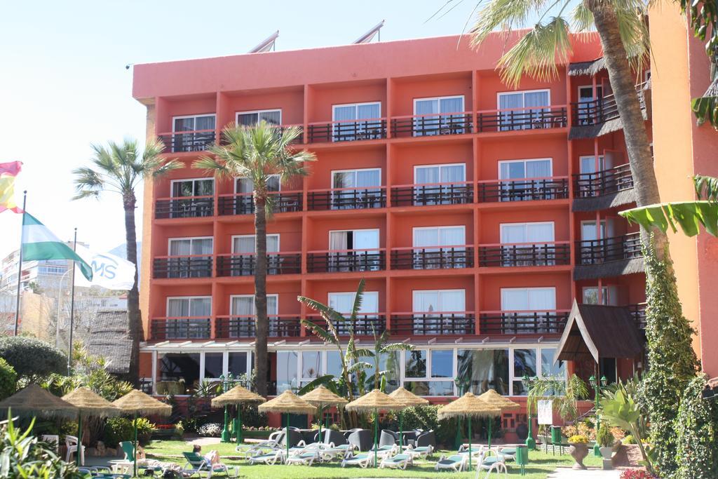 Ms Tropicana