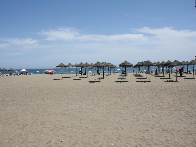 Hotel Ms Tropicana