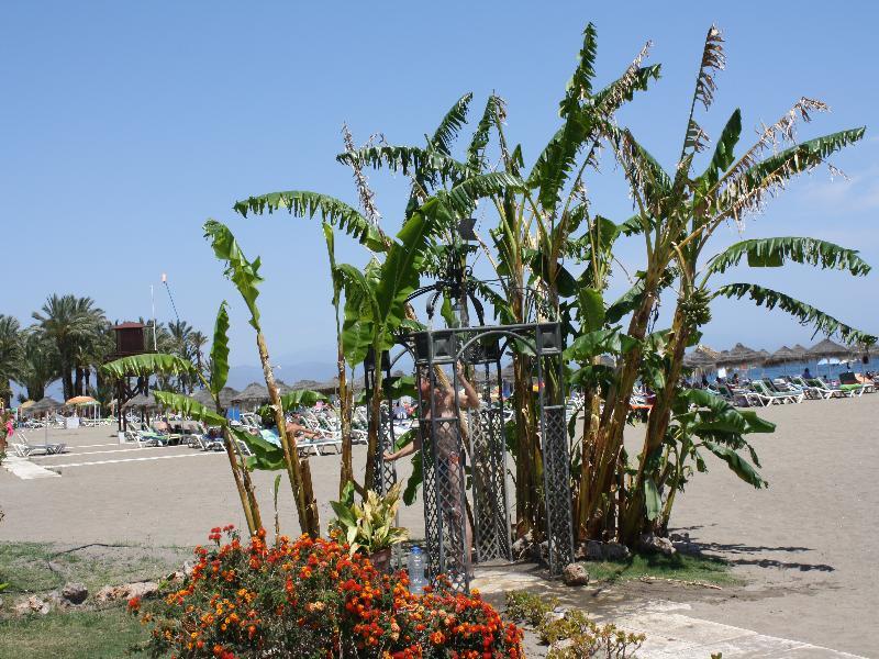 Hotel Ms Tropicana 4*