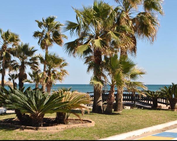 Apartment Perla Del Sol 1 L