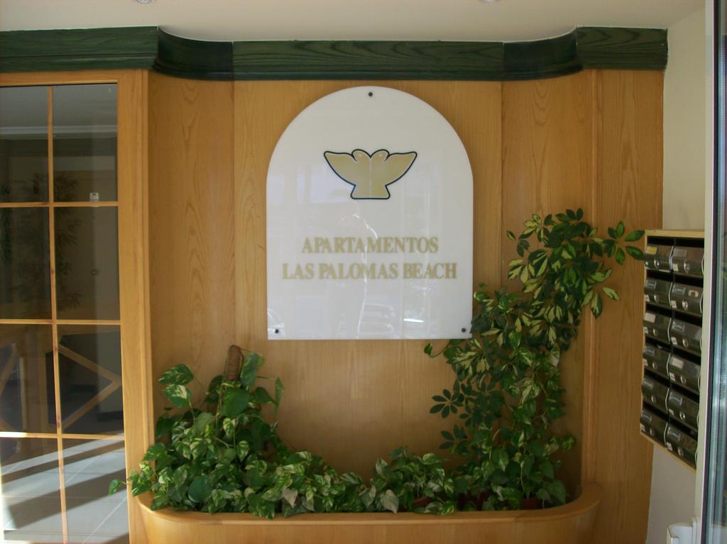 Palomas 201