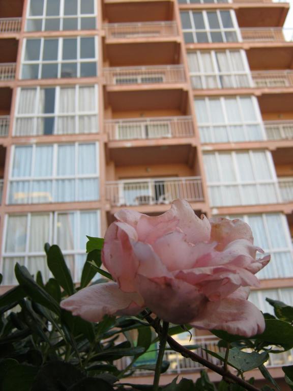 Apartment El Velero *