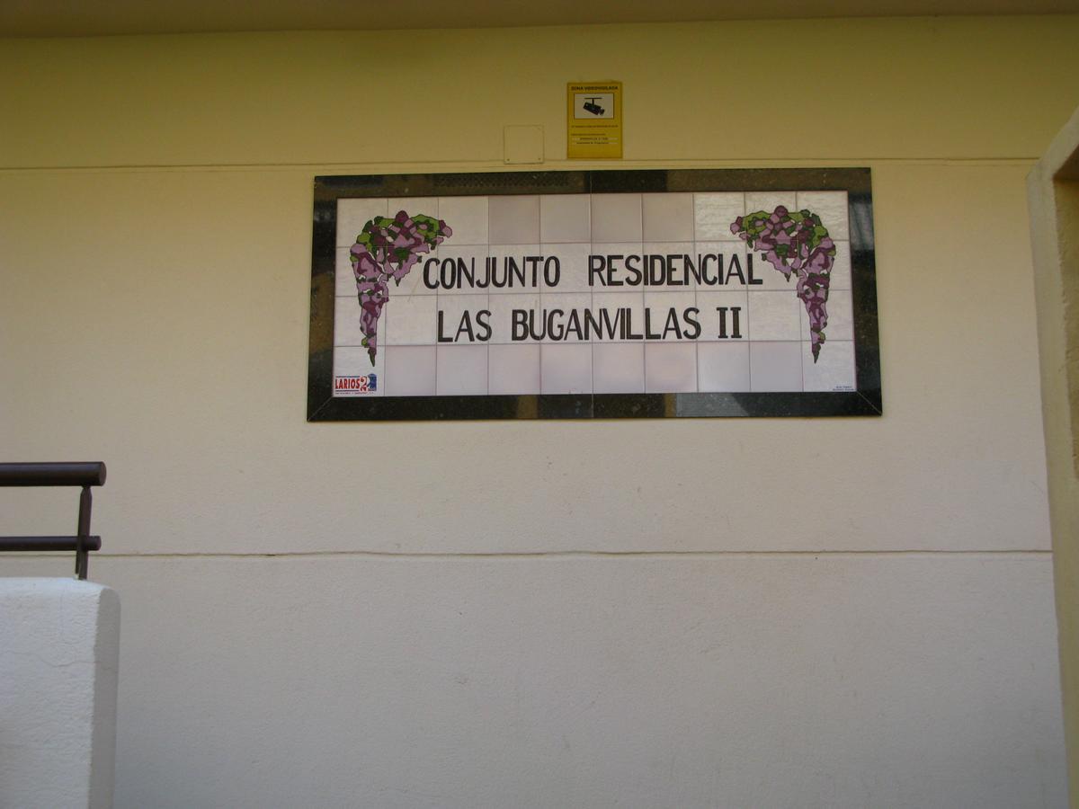 Buganvillas