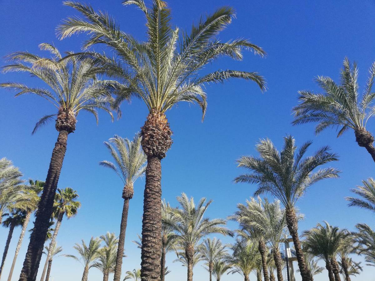 Carihuela Park Palace Apartment Torremolinos