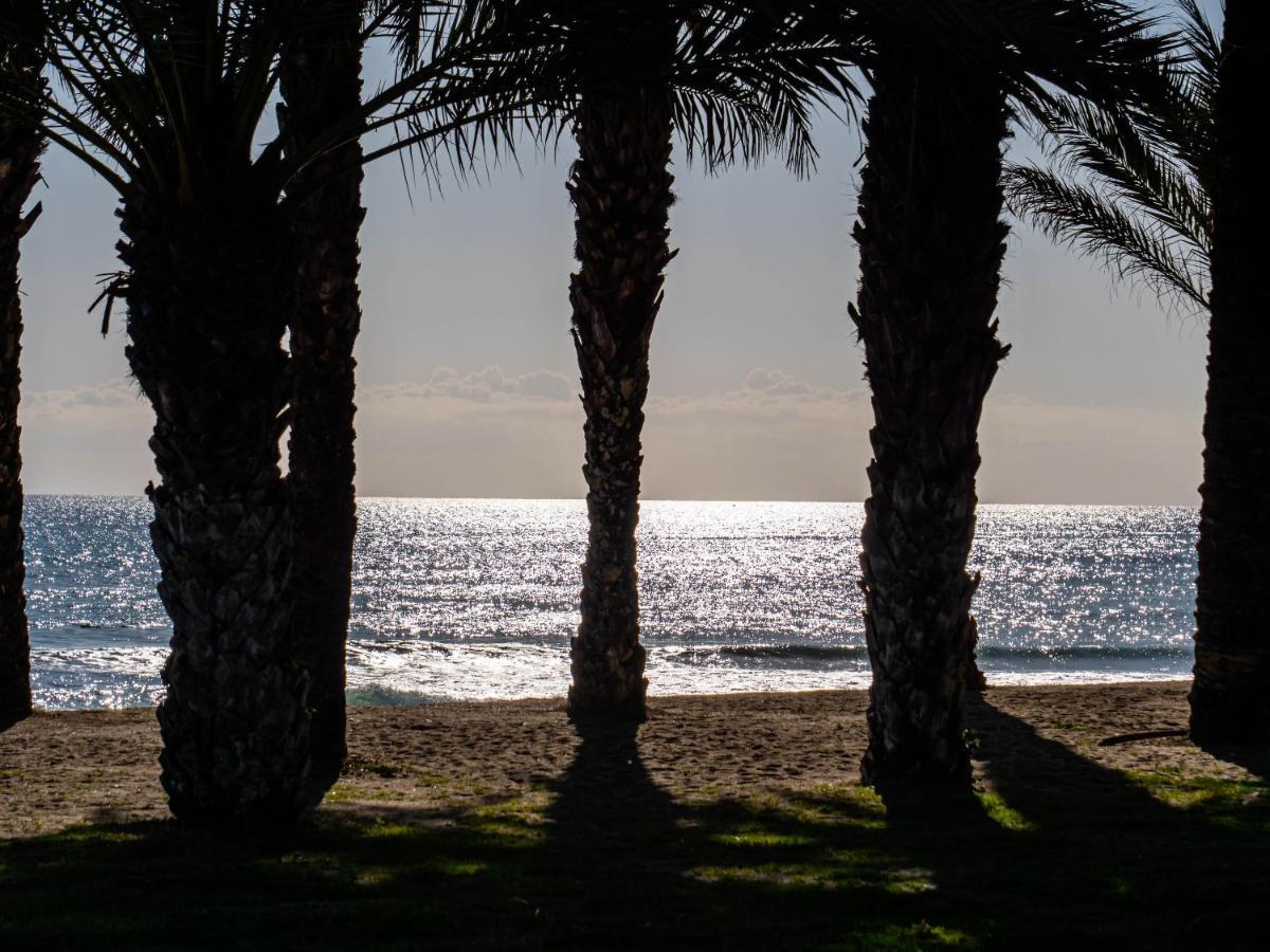 Apartment Palm - *