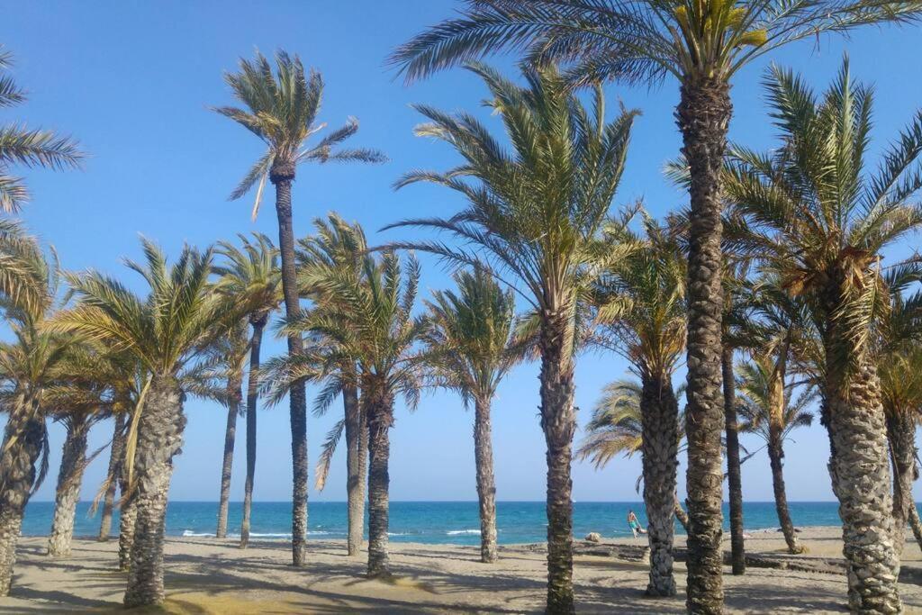 Appartement #409 Near Beaches &free Wifi *